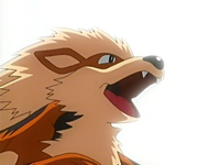 Archivo:EP416 Arcanine 2.png