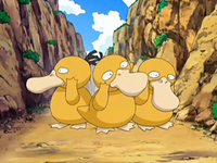 Archivo:EP556 Psyduck (4).png