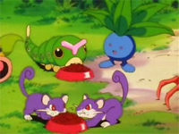 EP010 Caterpie, Oddish y Rattata.png