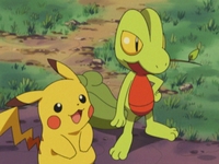 Archivo:EP319 Pikachu y Treecko.jpg