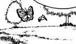 Archivo:PMSSwSh04 Butterfree y Pidove.png