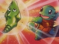 Metapod vs. Squirtle.