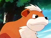 Archivo:EP119 Growlithe.png