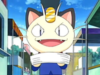 Archivo:EP398 Meowth.png