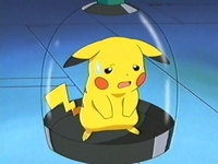 Archivo:EP276 Pikachu encerrado.jpg