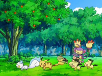 Pokémon jugando en el jardín de la mansión.