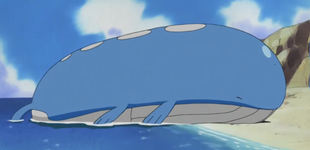Archivo:EP310 Wailord.png