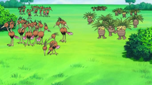 Exeggutor