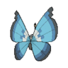 Vivillon marino