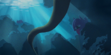 Shellder