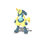 Entrenamiento variocolor