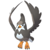 Imagen de Staravia macho en Leyendas Pokémon: Z-A