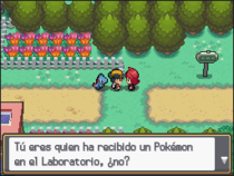 Guía de Pokémon Oro HeartGold y Plata SoulSilver