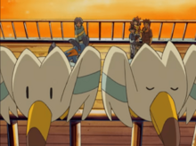 Wingull - WikiDex, la enciclopedia Pokémon