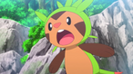 Chespin