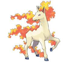 Rapidash