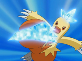 Combusken de May/Aura usando megapatada.