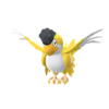 Squawkabilly amarillo