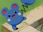 Azurill