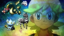 Tynamo