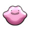 Ditto