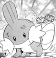 Mudkip en PMM001