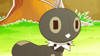 Scatterbug