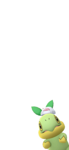 Turtwig con el gorro de Maya