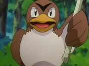 EP049 Farfetch'd.png