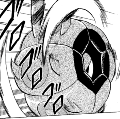 Whirlipede de Burgh/Whirlipede de Camus