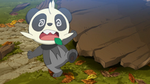 Pancham