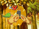 Ledyba