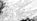 Remoraid en MP09-02