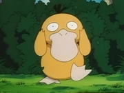 EP049 Psyduck (3).png