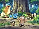 Zigzagoon