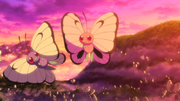 P20 Butterfree y Butterfee rosa.png