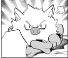 Primeape