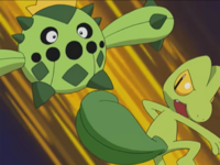 Treecko usando destructor.