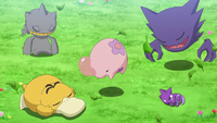 Posturas de sueño de los Pokémon de la isla.