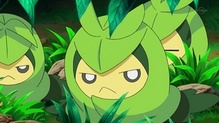 Swadloon