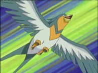 Swellow al combate.