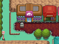 Exterior en HG/SS