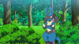 Error en las hombreras de Lucario.