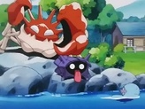 Wooper