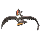 Staraptor