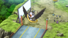 Starly