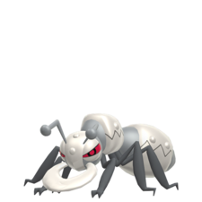 Durant macho