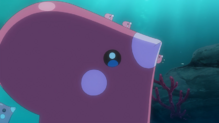 Luvdisc