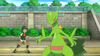 Sawyer/Sabino junto a Sceptile.