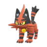 Torracat